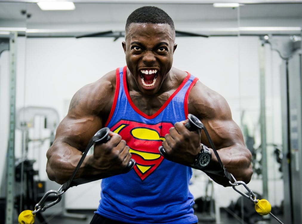 La musculation et le body building ! Fitness Sport .xyz