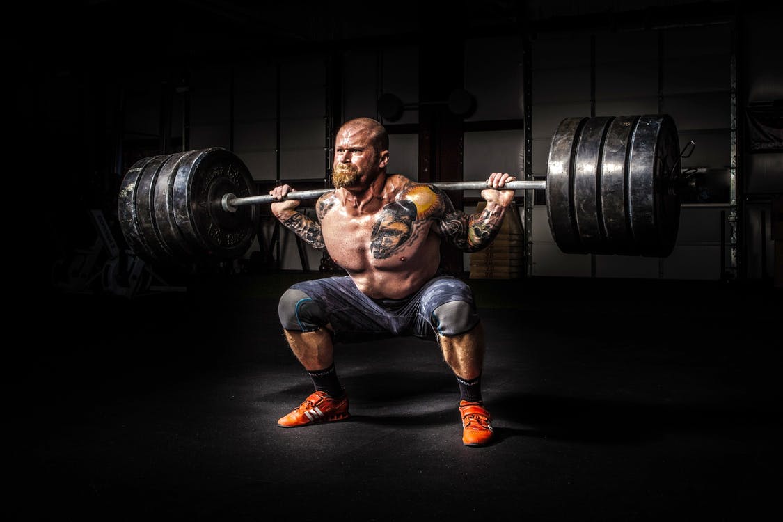 musculation et body building