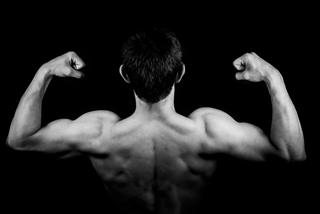 homme muscle dos haut